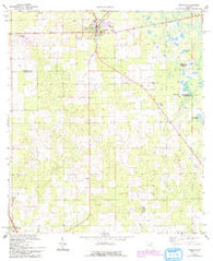 Trenton Florida Historical topographic map, 1:24000 scale, 7.5 X 7.5 Minute, Year 1968