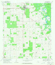 Trenton Florida Historical topographic map, 1:24000 scale, 7.5 X 7.5 Minute, Year 1968