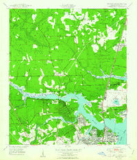 Trout River Florida Historical topographic map, 1:24000 scale, 7.5 X 7.5 Minute, Year 1950