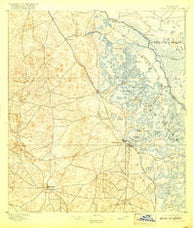 Tsala Apopka Florida Historical topographic map, 1:62500 scale, 15 X 15 Minute, Year 1895