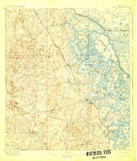 Tsala Apopka Florida Historical topographic map, 1:62500 scale, 15 X 15 Minute, Year 1895