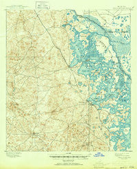 Tsala Apopka Florida Historical topographic map, 1:62500 scale, 15 X 15 Minute, Year 1895