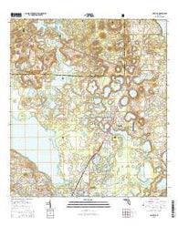 Umatilla Florida Current topographic map, 1:24000 scale, 7.5 X 7.5 Minute, Year 2015
