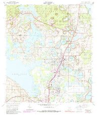 Umatilla Florida Historical topographic map, 1:24000 scale, 7.5 X 7.5 Minute, Year 1965