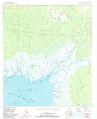 Waccasassa Bay Florida Historical topographic map, 1:24000 scale, 7.5 X 7.5 Minute, Year 1955