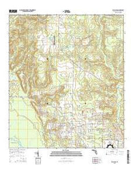 Wallace Florida Current topographic map, 1:24000 scale, 7.5 X 7.5 Minute, Year 2015