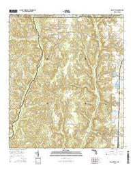Walnut Hill Florida Current topographic map, 1:24000 scale, 7.5 X 7.5 Minute, Year 2015