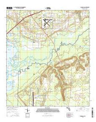 Ward Basin Florida Current topographic map, 1:24000 scale, 7.5 X 7.5 Minute, Year 2015