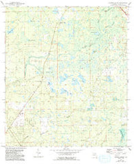 Warrior Swamp Florida Historical topographic map, 1:24000 scale, 7.5 X 7.5 Minute, Year 1954