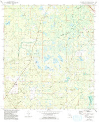 Warrior Swamp Florida Historical topographic map, 1:24000 scale, 7.5 X 7.5 Minute, Year 1954