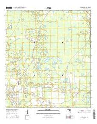 Warrior Swamp Florida Current topographic map, 1:24000 scale, 7.5 X 7.5 Minute, Year 2015
