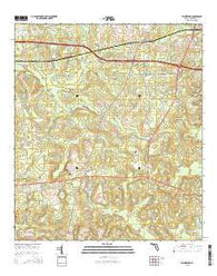 Waukeenah Florida Current topographic map, 1:24000 scale, 7.5 X 7.5 Minute, Year 2015