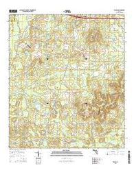 Wausau Florida Current topographic map, 1:24000 scale, 7.5 X 7.5 Minute, Year 2015