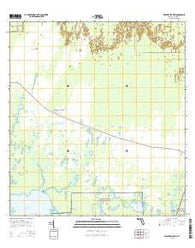 Weavers Station Florida Current topographic map, 1:24000 scale, 7.5 X 7.5 Minute, Year 2015