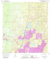 Weeki Wachee Spring Florida Historical topographic map, 1:24000 scale, 7.5 X 7.5 Minute, Year 1954