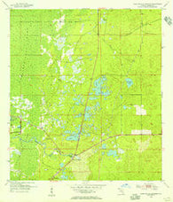 Weekiwachee Springs Florida Historical topographic map, 1:24000 scale, 7.5 X 7.5 Minute, Year 1954