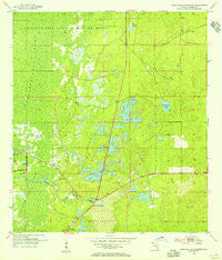 Weekiwachee Springs Florida Historical topographic map, 1:24000 scale, 7.5 X 7.5 Minute, Year 1954