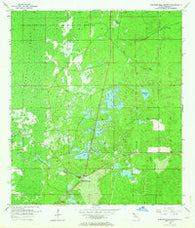 Weekiwachee Springs Florida Historical topographic map, 1:24000 scale, 7.5 X 7.5 Minute, Year 1954
