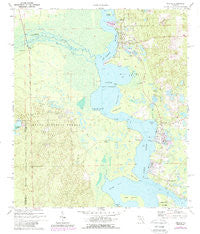 Welaka Florida Historical topographic map, 1:24000 scale, 7.5 X 7.5 Minute, Year 1970