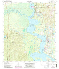 Welaka Florida Historical topographic map, 1:24000 scale, 7.5 X 7.5 Minute, Year 1970