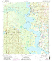 Welaka Florida Historical topographic map, 1:24000 scale, 7.5 X 7.5 Minute, Year 1970