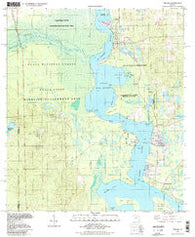 Welaka Florida Historical topographic map, 1:24000 scale, 7.5 X 7.5 Minute, Year 1994
