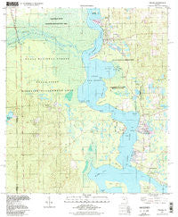 Welaka Florida Historical topographic map, 1:24000 scale, 7.5 X 7.5 Minute, Year 1994