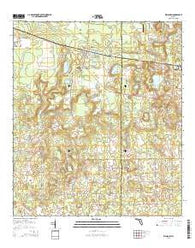 Wellborn Florida Current topographic map, 1:24000 scale, 7.5 X 7.5 Minute, Year 2015