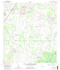 Wesley Chapel Florida Historical topographic map, 1:24000 scale, 7.5 X 7.5 Minute, Year 1973