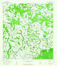 Wesley Chapel Florida Historical topographic map, 1:24000 scale, 7.5 X 7.5 Minute, Year 1944