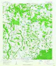 Wesley Chapel Florida Historical topographic map, 1:24000 scale, 7.5 X 7.5 Minute, Year 1944