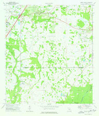 Wesley Chapel Florida Historical topographic map, 1:24000 scale, 7.5 X 7.5 Minute, Year 1973