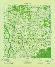 Wesley Chapel Florida Historical topographic map, 1:31680 scale, 7.5 X 7.5 Minute, Year 1944
