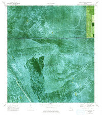 West Of Deem City Florida Historical topographic map, 1:24000 scale, 7.5 X 7.5 Minute, Year 1974