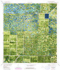 West Of Delta Florida Historical topographic map, 1:24000 scale, 7.5 X 7.5 Minute, Year 1971