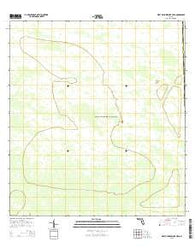 West of Horseshoe Head Florida Current topographic map, 1:24000 scale, 7.5 X 7.5 Minute, Year 2015