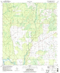 Wetappo Creek Florida Historical topographic map, 1:24000 scale, 7.5 X 7.5 Minute, Year 1994
