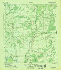 Wetappo Creek Florida Historical topographic map, 1:31680 scale, 7.5 X 7.5 Minute, Year 1945