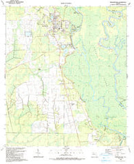 Wewahitchka Florida Historical topographic map, 1:24000 scale, 7.5 X 7.5 Minute, Year 1990