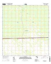 Whidden Lake Florida Current topographic map, 1:24000 scale, 7.5 X 7.5 Minute, Year 2015