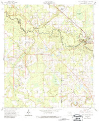 White Springs West Florida Historical topographic map, 1:24000 scale, 7.5 X 7.5 Minute, Year 1961