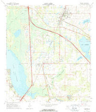 Wildwood Florida Historical topographic map, 1:24000 scale, 7.5 X 7.5 Minute, Year 1967