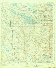 Williston Florida Historical topographic map, 1:62500 scale, 15 X 15 Minute, Year 1895