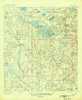 Williston Florida Historical topographic map, 1:62500 scale, 15 X 15 Minute, Year 1895