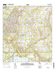 Wimauma Florida Current topographic map, 1:24000 scale, 7.5 X 7.5 Minute, Year 2015