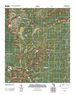 Woods Florida Historical topographic map, 1:24000 scale, 7.5 X 7.5 Minute, Year 2012