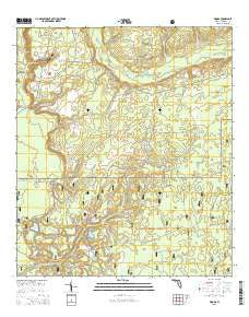 Woods Florida Current topographic map, 1:24000 scale, 7.5 X 7.5 Minute, Year 2015