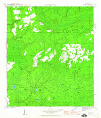 Woods Florida Historical topographic map, 1:24000 scale, 7.5 X 7.5 Minute, Year 1945