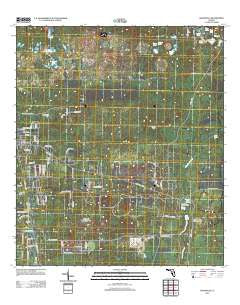 Woodville Florida Historical topographic map, 1:24000 scale, 7.5 X 7.5 Minute, Year 2012