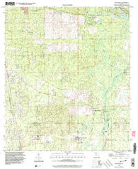 Woodville Florida Historical topographic map, 1:24000 scale, 7.5 X 7.5 Minute, Year 1999